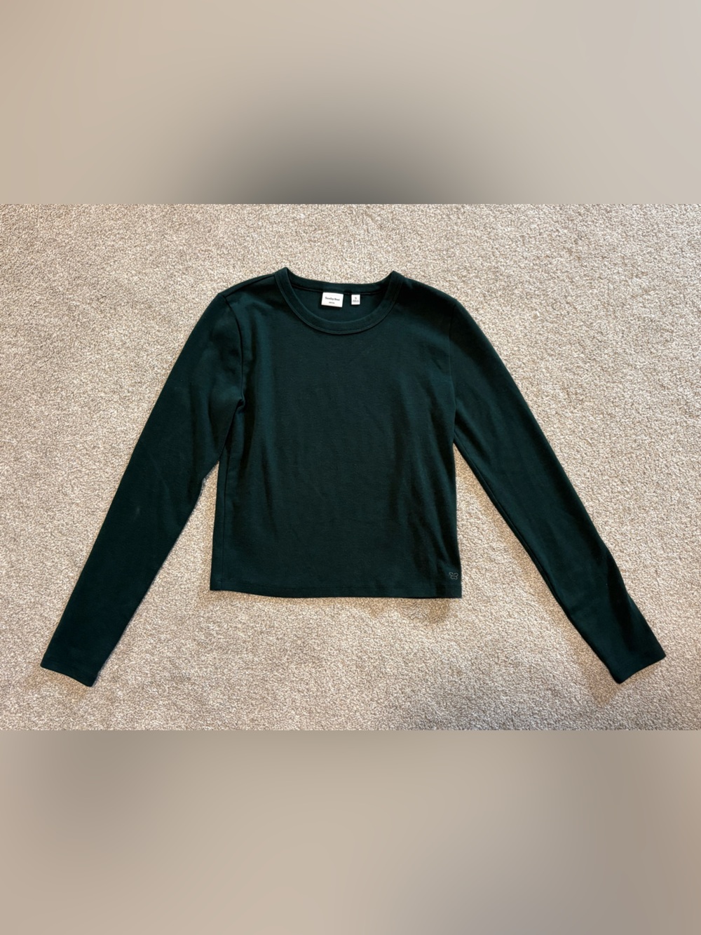 Aritzia Sunday Best BestHug Longsleeve Tee